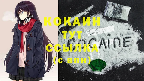 шишки Строитель