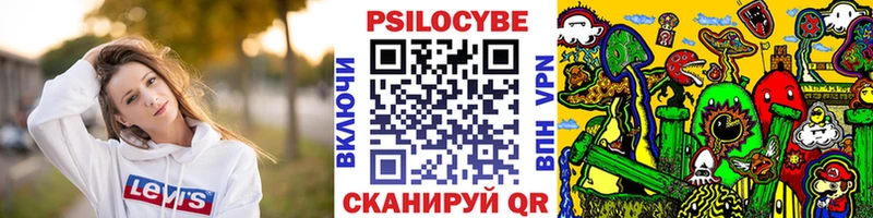 mega ТОР  купить наркотики сайты  Болохово  Псилоцибиновые грибы Cubensis 